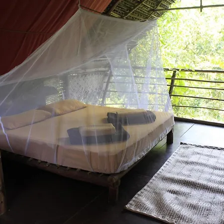 The Tribe Goa Hostel